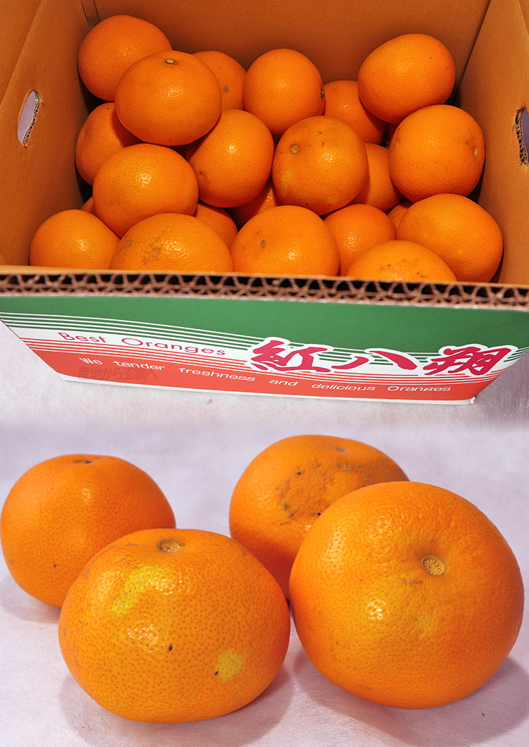 Ȭ�� ���ޤ��