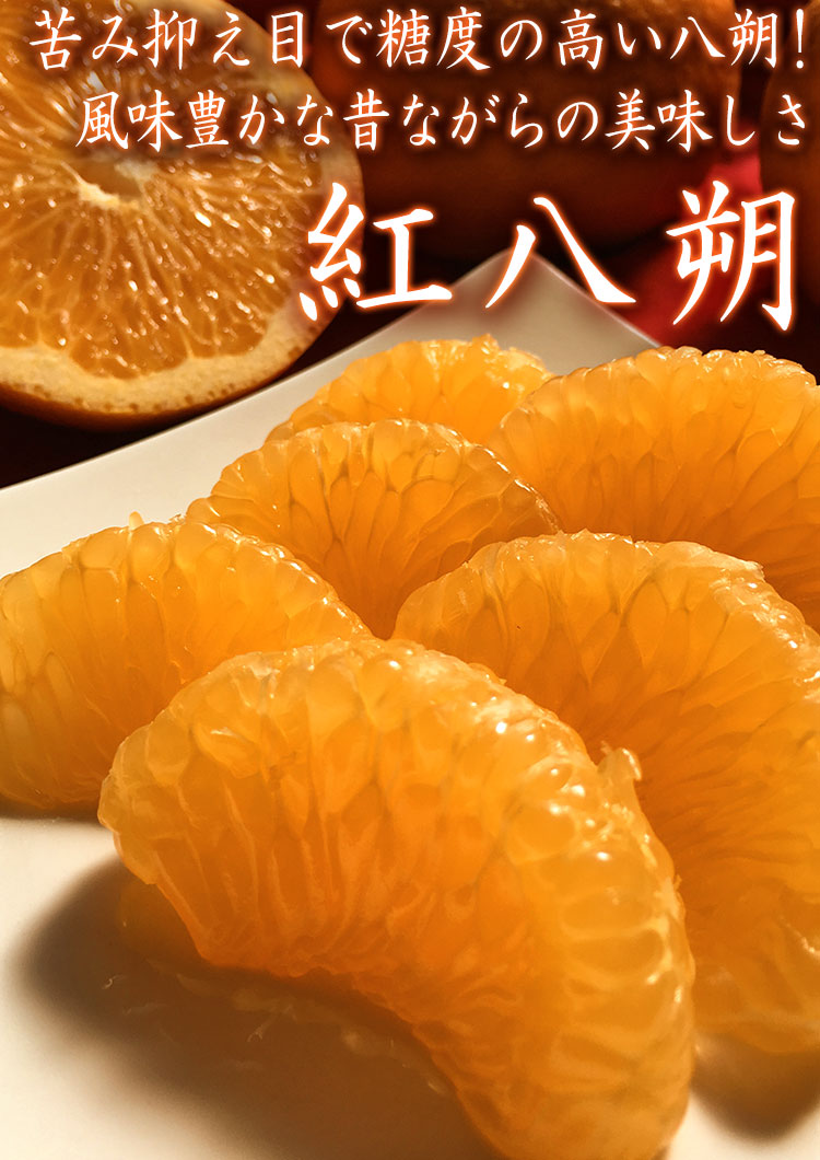 ��Ȭ�� �٤ˤϤä���