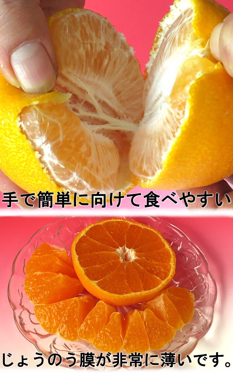 ����̤� �ǥ��ݥ�