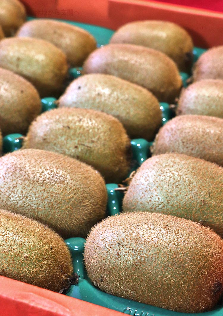 ��ʪ ������