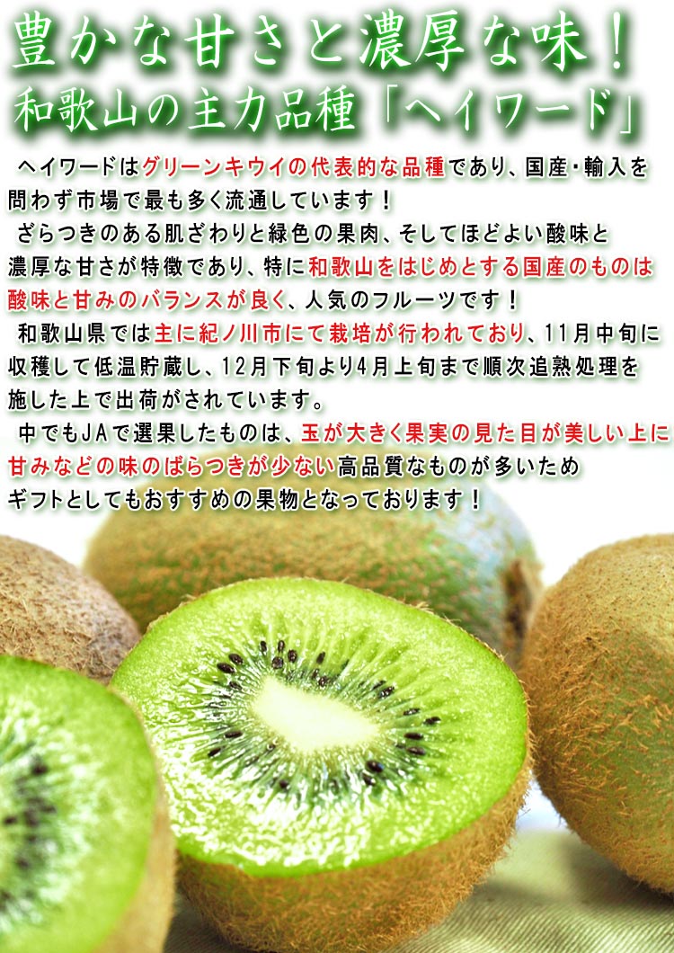 �狼��� �ե롼��