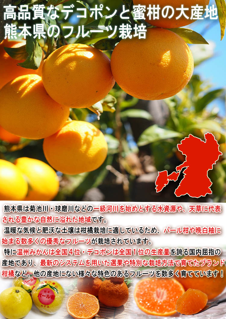 ���� ��ʪ