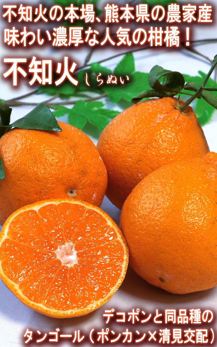 ���β� ����