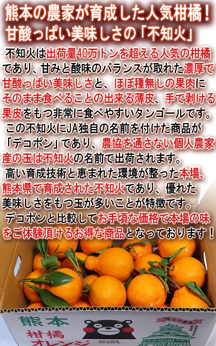 ���� �ե롼��