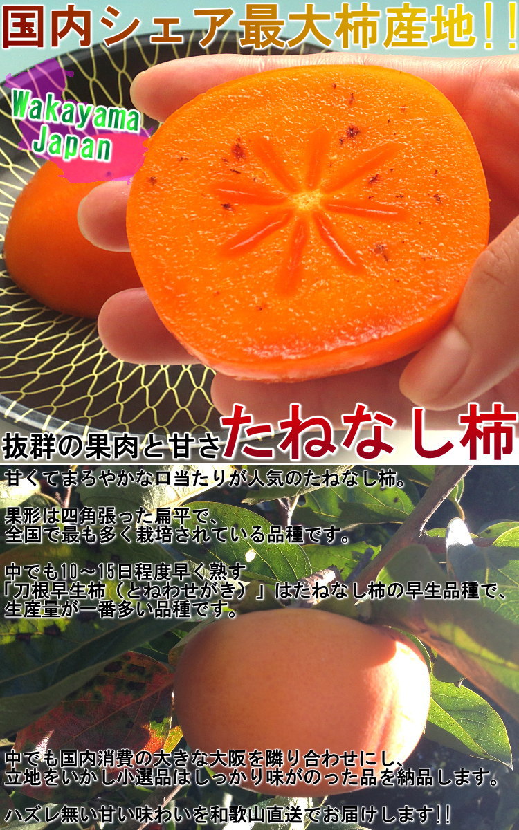 S～2Lサイズ　奈良・和歌山県産中心　訳あり品　甘み豊かな旬のフルーツ！お得な家庭用の種無しカキ　たねなし柿　約7.5kg